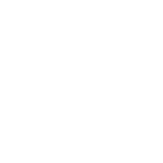 <h2>Expert consultants</h2>