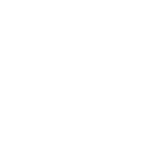 <p>Expert consultants</p>